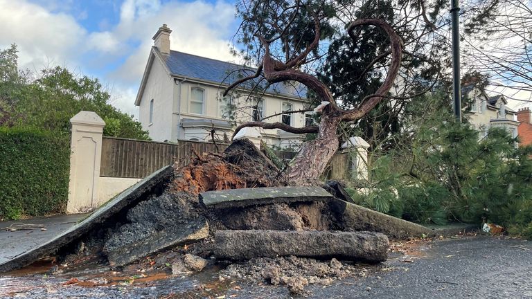 Storm Herminia: A Force of Nature Disrupting Europe